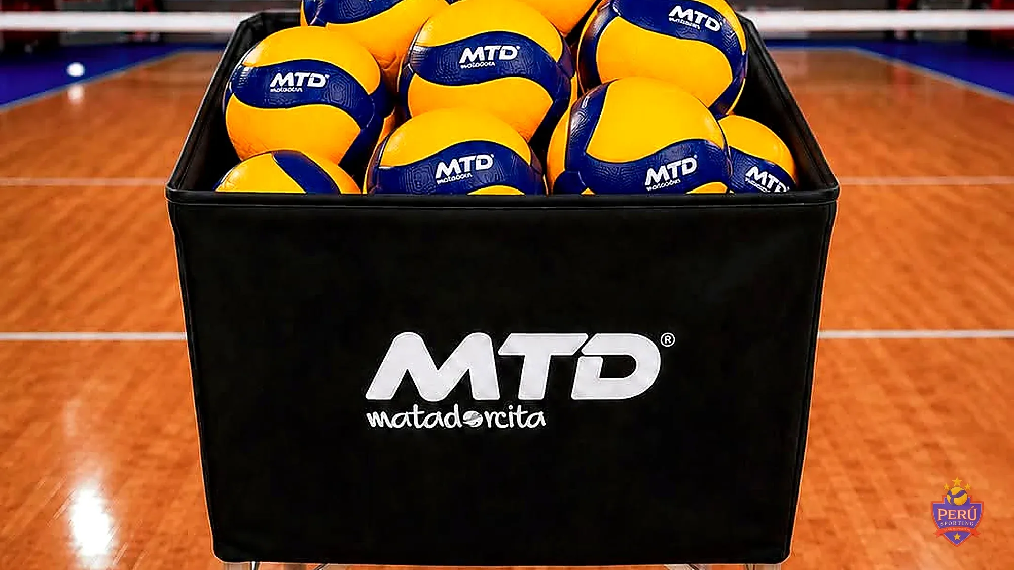 Equipamiento para voleibol
